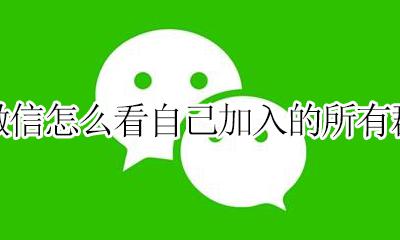 如何查看微信加入的所有群 微信怎么看自己加入的所有群