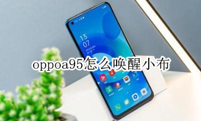 oppoa95怎么唤醒小布 oppoa95s怎么直接呼唤小布