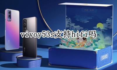 vivoy53怎么样 vivoy53s支持hifi吗