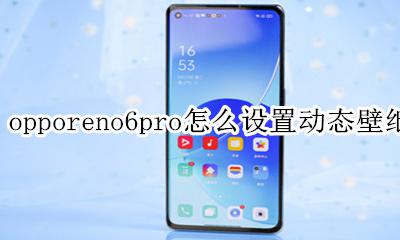 opporeno6怎么设置动态壁纸 opporeno6pro怎么设置动态壁纸