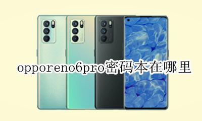 opporeno6pro密码本在哪里 opporeno6手机隐私密码忘了怎么弄
