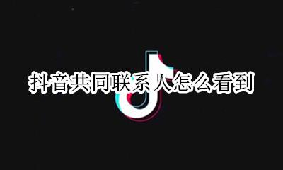 抖音共同联系人怎么看到 抖音显示共同联系人是什么意思