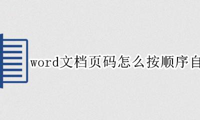word怎样按顺序设置页码 word文档页码怎么按顺序自动设置