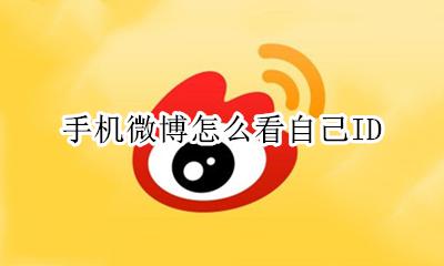 手机微博怎么看自己ID 手机微博怎么看自己的粉丝互动榜
