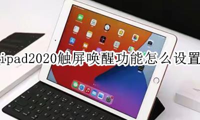 ipad2020触屏唤醒功能怎么设置 ipad2020双击唤醒屏幕怎么设置