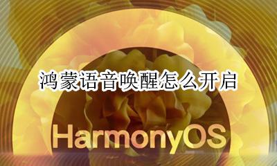 鸿蒙语音唤醒怎么开启 怎么设置语音唤醒
