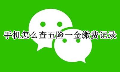 手机怎么查五险一金缴费记录 在哪里能查到五险一金缴费记录