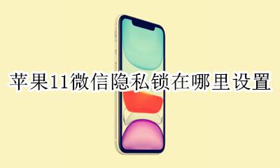 苹果11微信隐私锁在哪里设置 苹果11微信可以加锁吗隐私吗