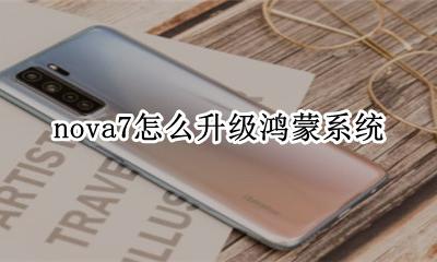 nova7怎么升级鸿蒙系统 华为nova7怎么升级鸿蒙系统