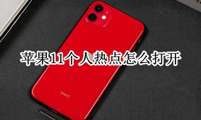 苹果11个人热点怎么打开 iphone11个人热点怎么开