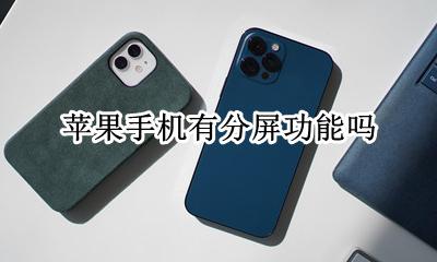 苹果手机有分屏功能吗 苹果手机怎么可以分屏功能