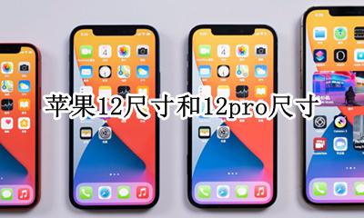 苹果12pro是几寸的 苹果12尺寸和12pro尺寸