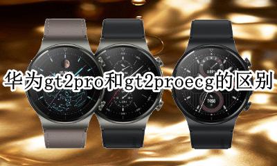 华为gt2与gt2pro 华为gt2pro和gt2proecg的区别