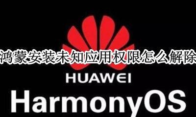 鸿蒙安装未知应用权限怎么解除 安装未知应用权限在哪里找