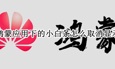 鸿蒙应用下的小白条怎么取消显示 怎么去除应用小白条