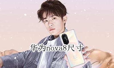 华为nova8尺寸 华为nova8几寸