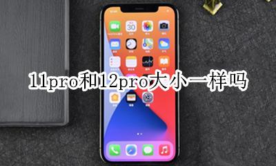 11跟11pro大小一样吗 11pro和12pro大小一样吗