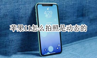 苹果11怎么拍照是动态的 iphone11怎么拍动图