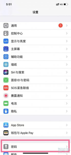 苹果储存密码在哪里查看