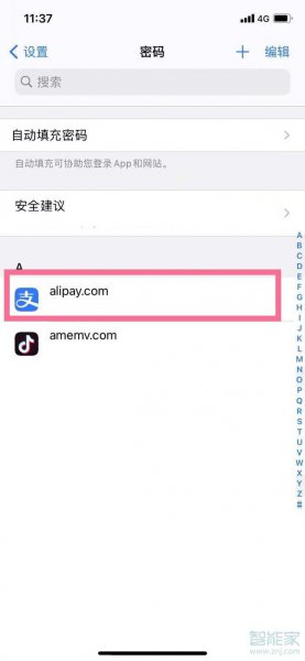 苹果储存密码在哪里查看
