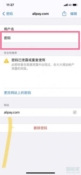 苹果储存密码在哪里查看