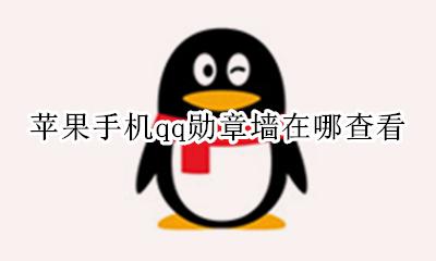 苹果手机qq勋章墙在哪里 苹果手机qq勋章墙在哪查看