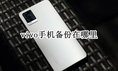 vivo手机备份在哪里 vivo手机的备份与恢复在哪里
