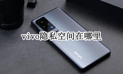 vivo隐私空间在哪里 vivo的私密空间在哪里