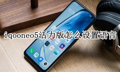 iqooneo5活力版怎么设置语言 iqooneo5开发者模式有什么用