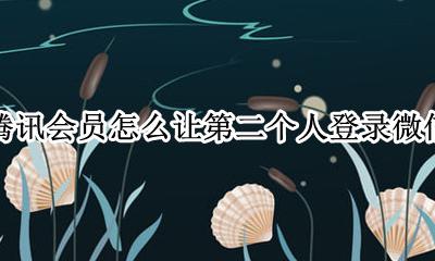 腾讯会员怎么让第二个人登录微信 微信登陆腾讯会员怎么让第二个人登录