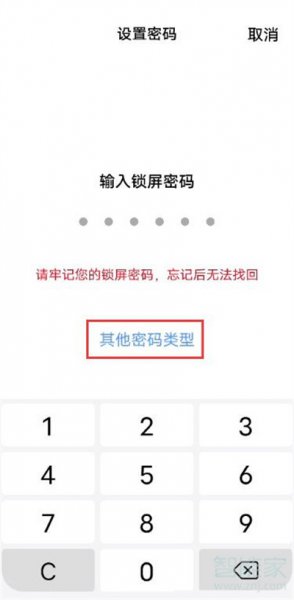 iqooneo5活力版怎么设置锁屏密码