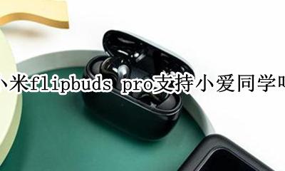 小米flipbuds pro支持小爱同学吗 有语音助手吗
