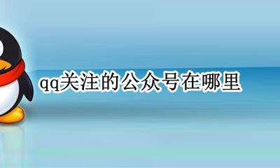 qq关注的公众号在哪里 qq里面关注的公众号在哪
