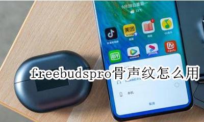 freebuds3骨声纹怎么用 freebudspro骨声纹怎么用