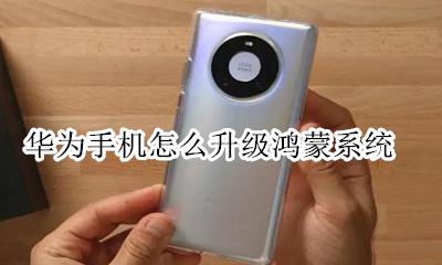 华为手机怎么升级鸿蒙系统 升级鸿蒙系统教程