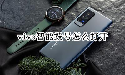 vivo智能拨号怎么打开 vivo手机一键拨号在哪