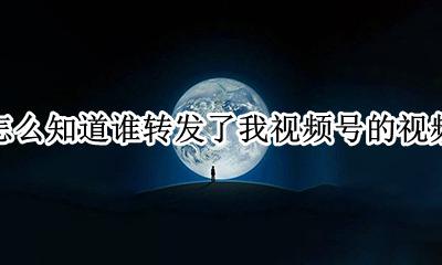 怎么知道谁转发了我视频号的视频 转发视频号里的视频本人会知道吗