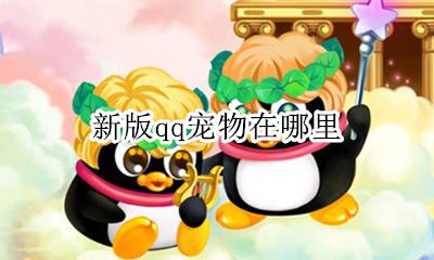 手机QQ宠物在哪 新版qq宠物在哪里