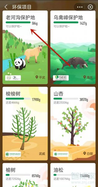 支付宝蚂蚁森林环保证书怎么获得