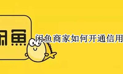 闲鱼怎么开通信用卡支付 闲鱼商家如何开通信用卡支付