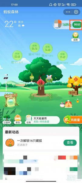 蚂蚁森林怎么获得环保证书