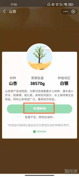 蚂蚁森林怎么获得环保证书