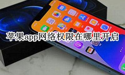 苹果app网络权限在哪里开启 iphone怎么打开app网络权限