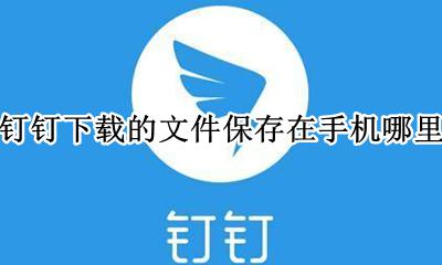 在钉钉下载的文件保存在哪里 钉钉下载的文件保存在手机哪里