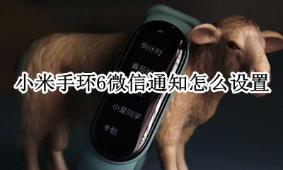 小米手环6微信通知怎么设置 小米手环怎么设置微信消息通知