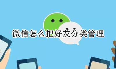 微信怎么把好友分类管理 微信好友能分类管理吗?