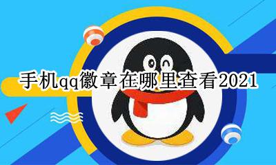 手机qq怎么查看徽章 手机qq徽章在哪里查看2021