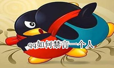 qq如何禁言一个人 如何在qq中禁言一个人