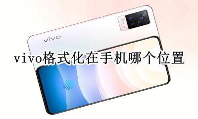 vivo格式化在手机哪个位置 vivo手机格式化功能在哪里
