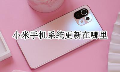 小米手机系统更新在哪里 小米手机软件更新在哪里